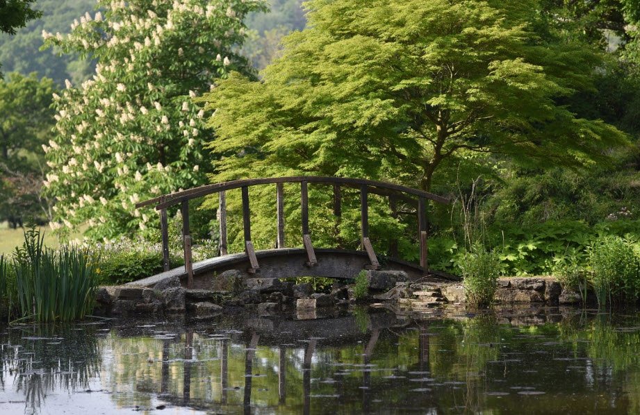 Furzey Gardens, Minstead, United Kingdom